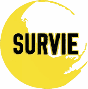 Ciné-débat : film BAMAKO - Survie Bas Rhin