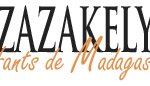 Loto - Zazakely Enfants de Madagascar