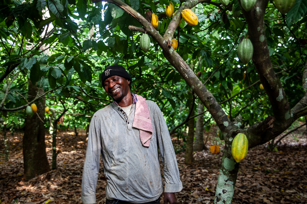Cultivateur de fèves de cacao