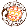 Logo Colecosol